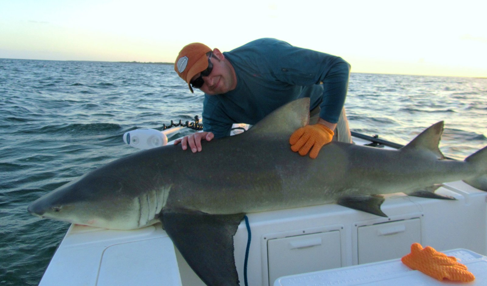 Shark caught on the flats of Miami
