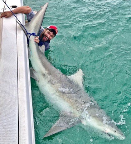 Shark fishing in Miami