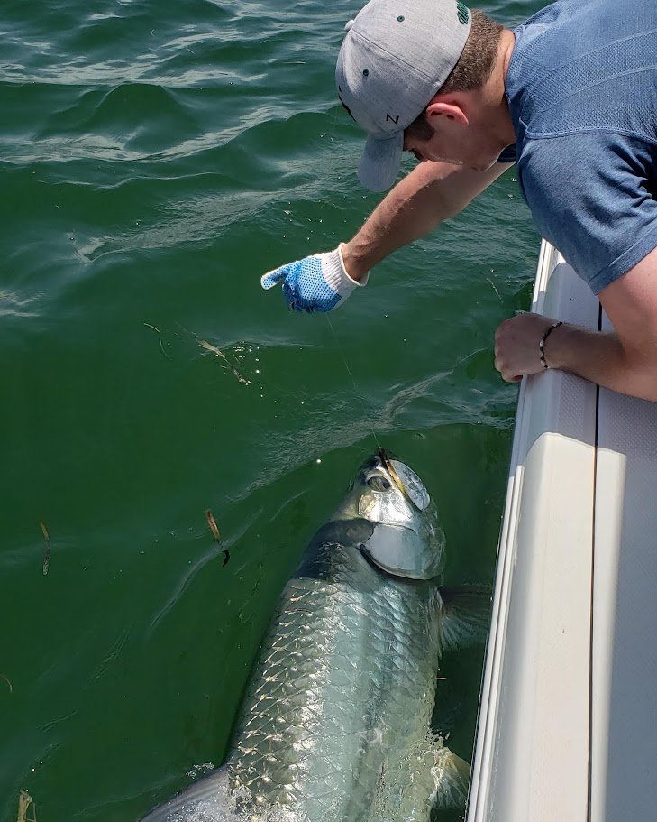 Capt. Tom Weber - Miami tarpon expert