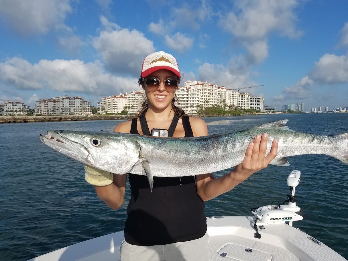 Inshore barracuda fishing in Miami