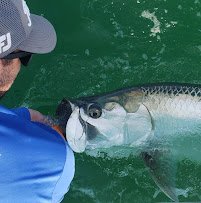 Inshore tarpon fishing Miami