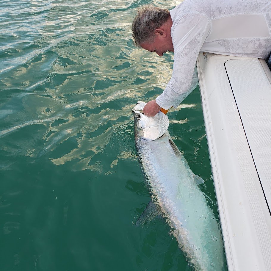 Tarpon fishing near Key Biscayne
