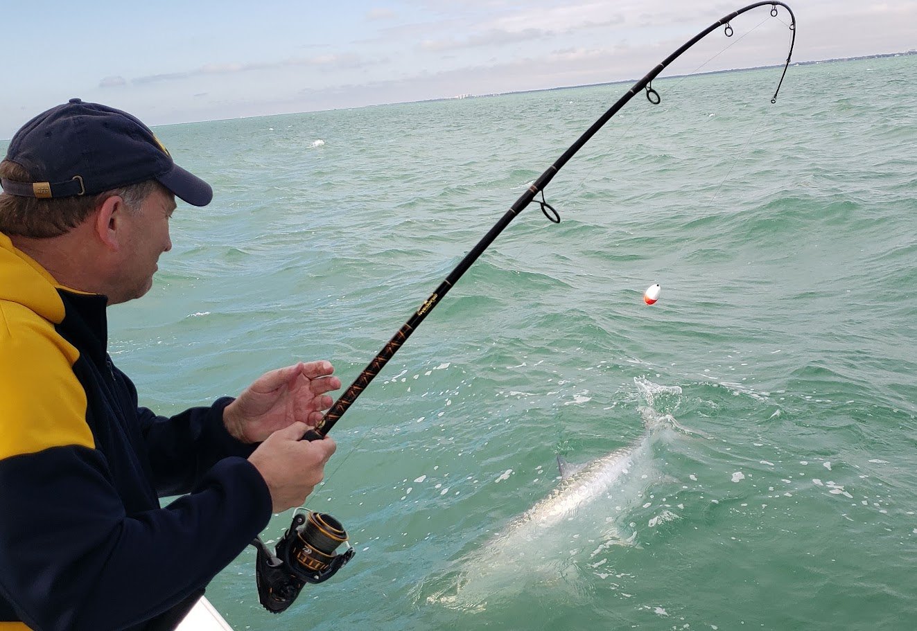 Tarpon caught on light tackle in Miami